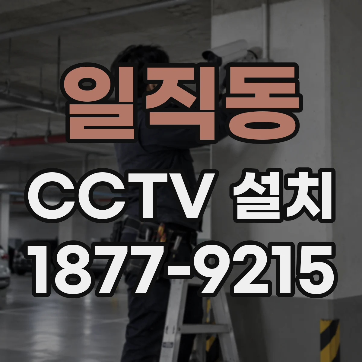일직동 CCTV 설치