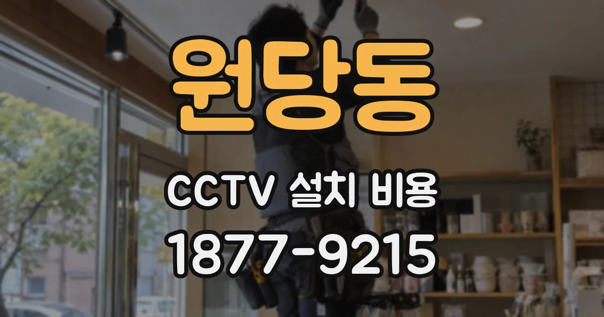 원당동 CCTV 설치 비용
