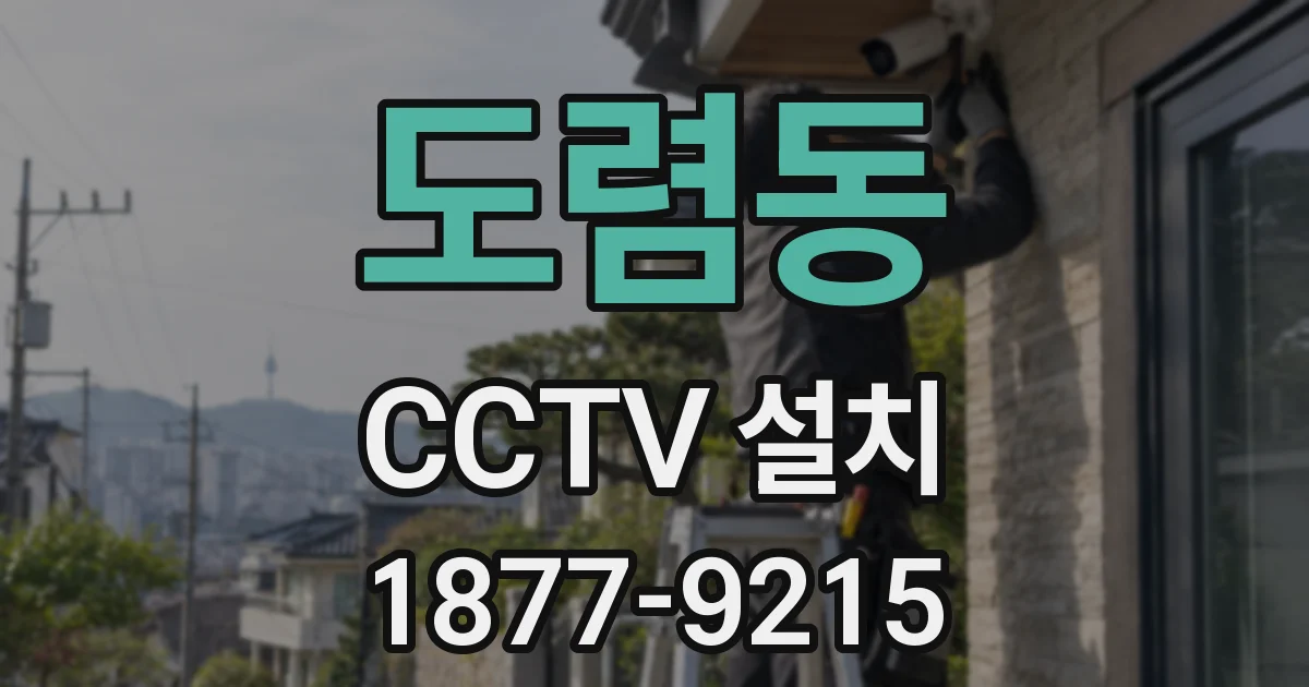 도렴동 CCTV 설치
