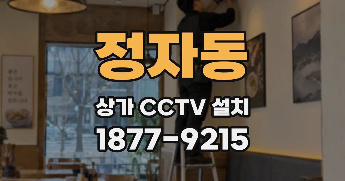 정자동 상가 CCTV 설치