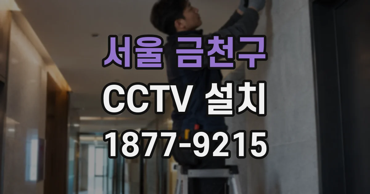 서울 금천구 CCTV 설치