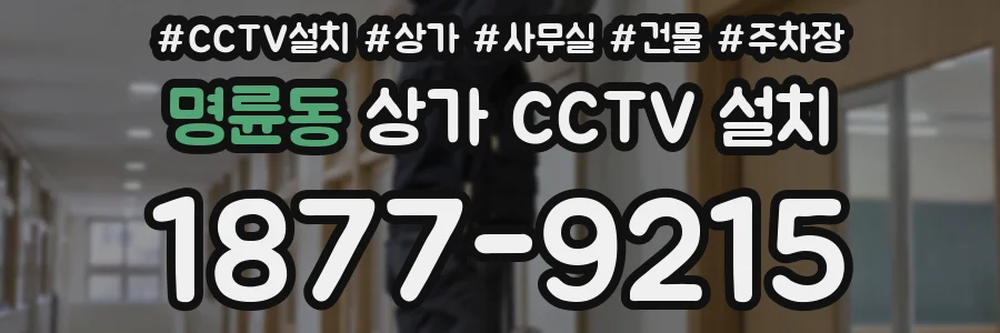 명륜동 상가 CCTV 설치