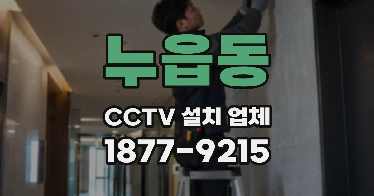 누읍동 CCTV 설치 업체