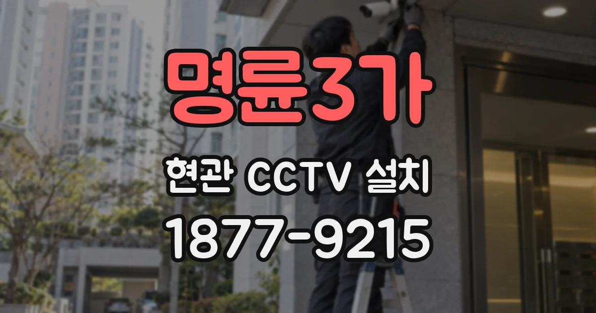 명륜3가 현관 CCTV 설치