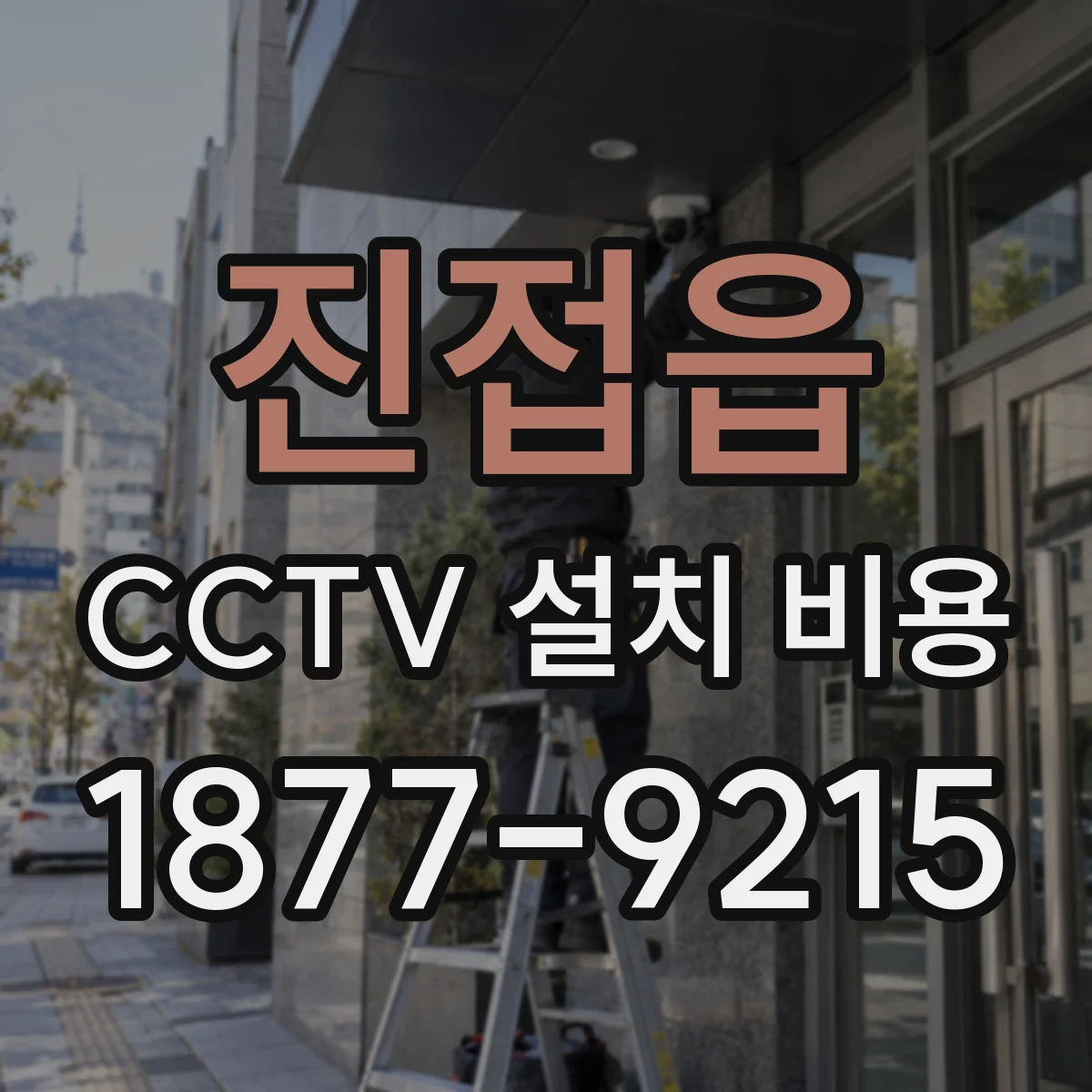 진접읍 CCTV 설치 비용