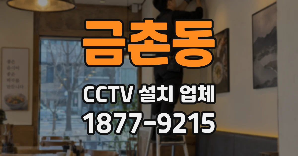 금촌동 CCTV 설치 업체