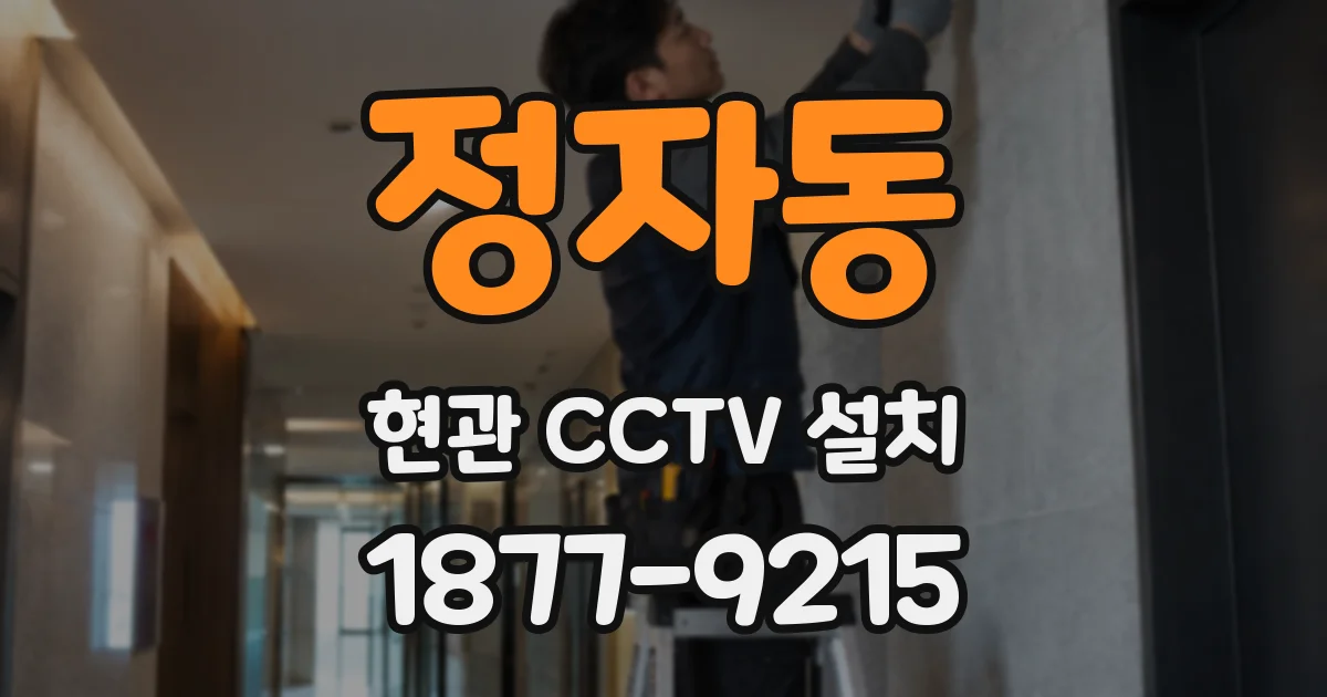 정자동 현관 CCTV 설치