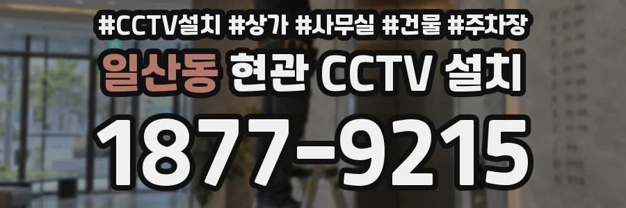 일산동 현관 CCTV 설치