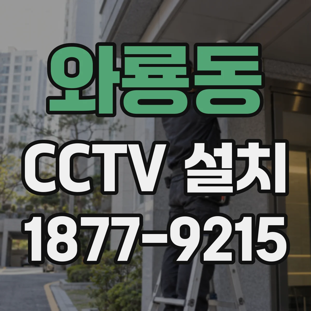 와룡동 CCTV 설치