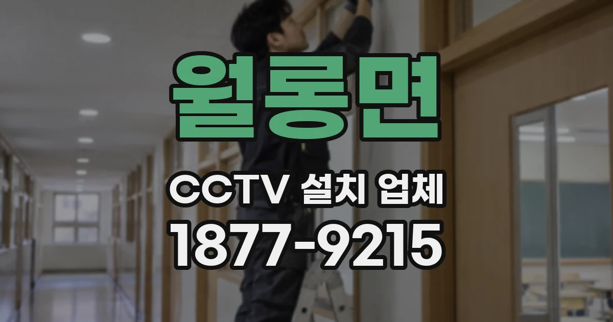 월롱면 CCTV 설치 업체