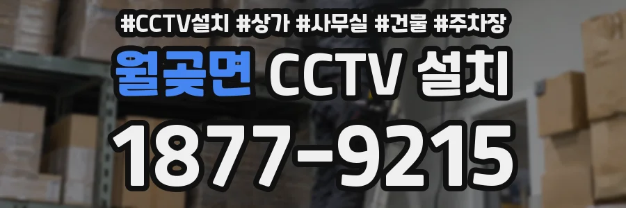 월곶면 CCTV 설치