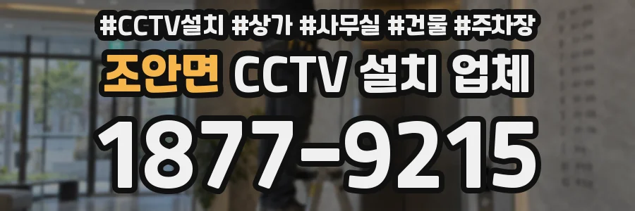 조안면 CCTV 설치 업체