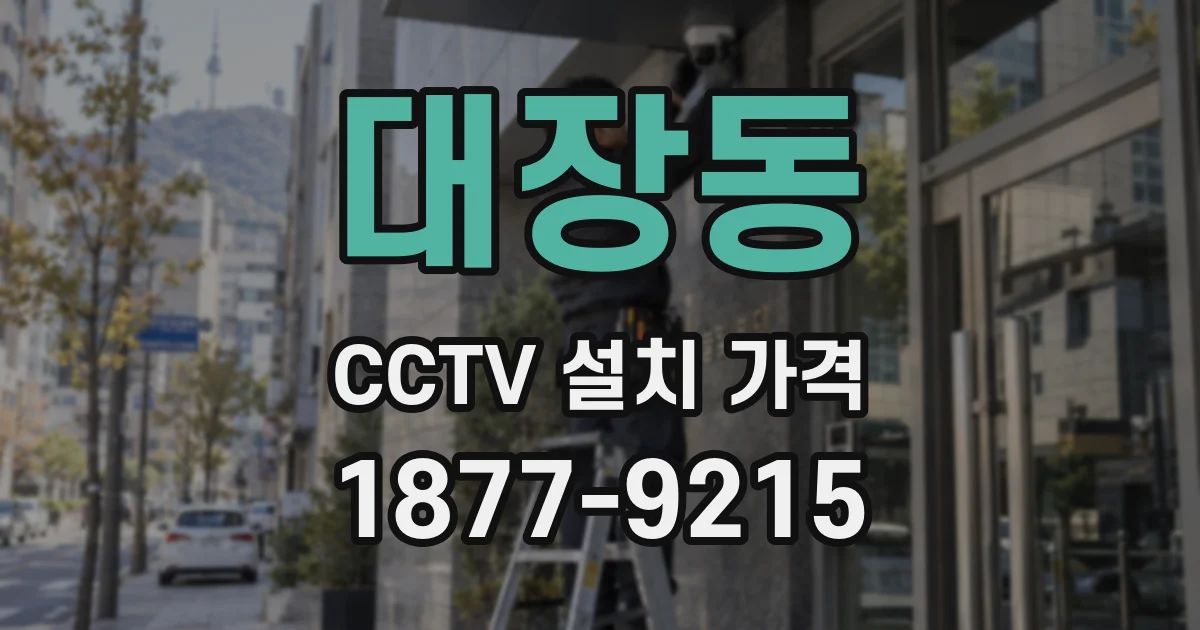 대장동 CCTV 설치 가격