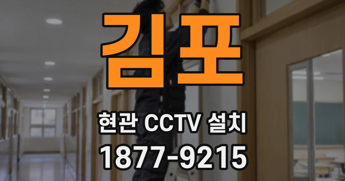 김포 현관 CCTV 설치