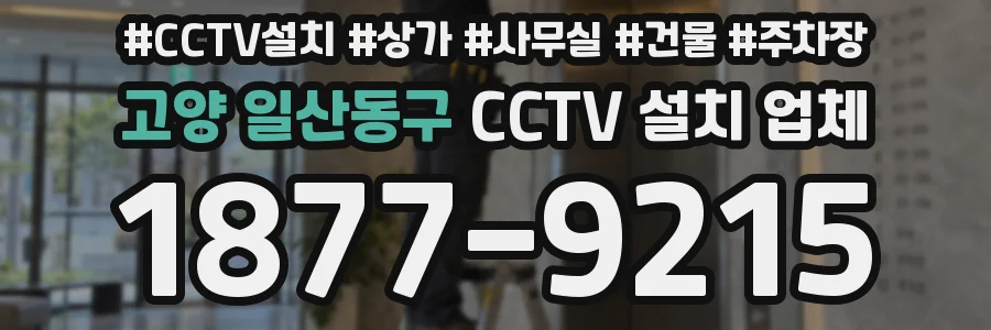 고양 일산동구 CCTV 설치 업체
