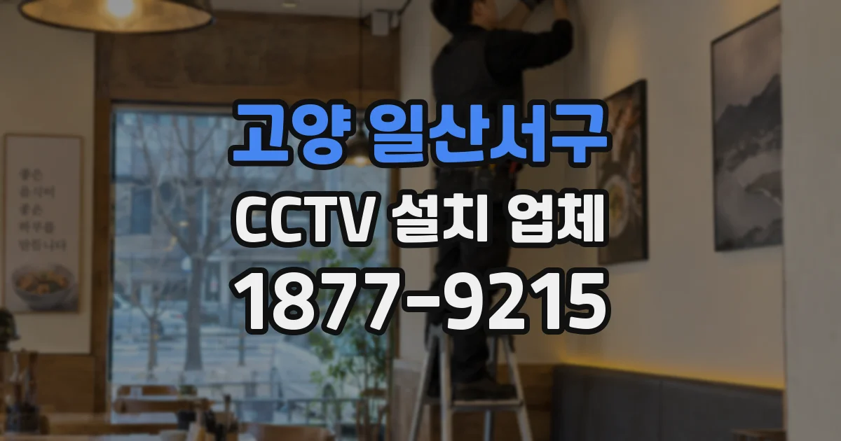 고양 일산서구 CCTV 설치 업체