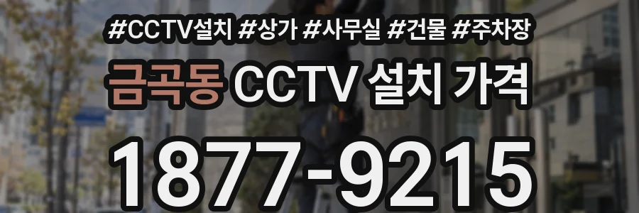 금곡동 CCTV 설치 가격