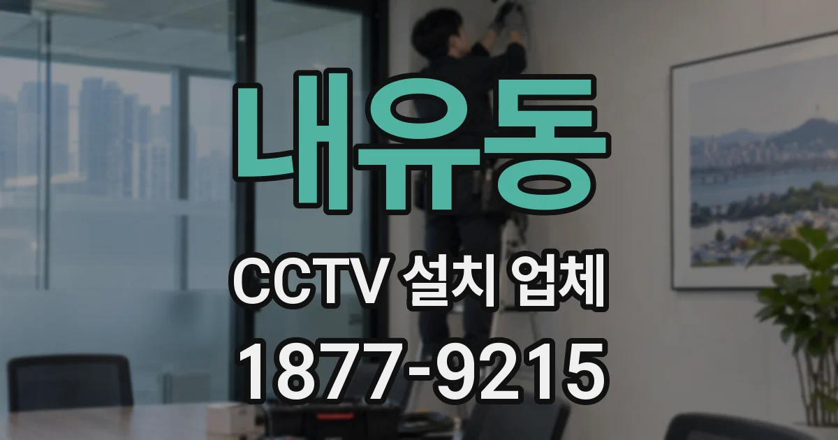 내유동 CCTV 설치 업체