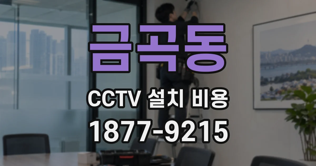 금곡동 CCTV 설치 비용