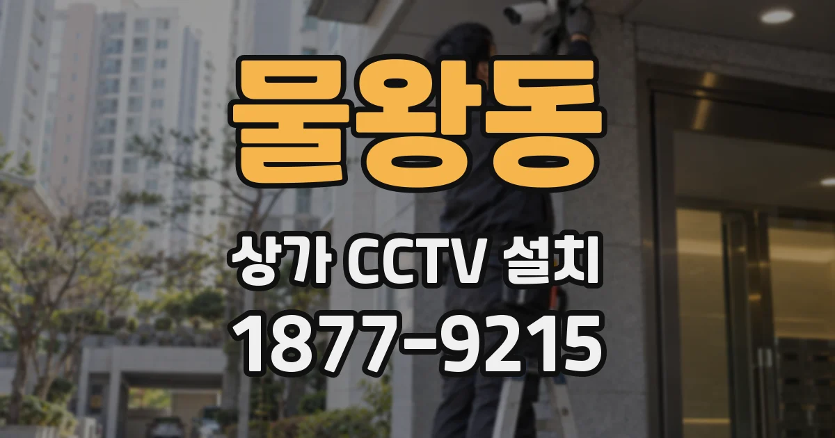 물왕동 상가 CCTV 설치