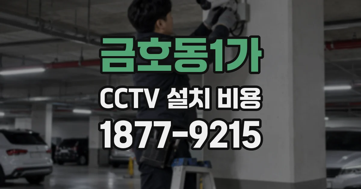 금호동1가 CCTV 설치 비용