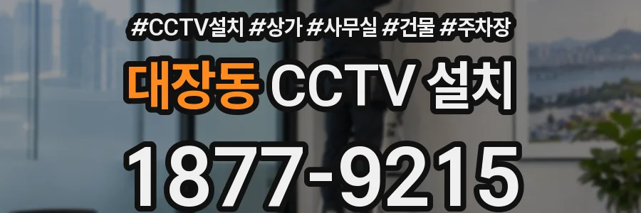 대장동 CCTV 설치