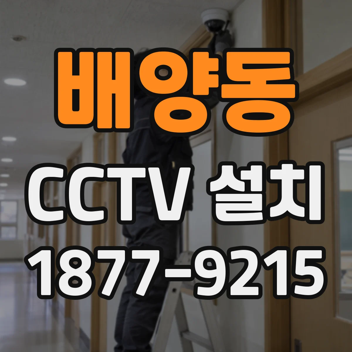 배양동 CCTV 설치