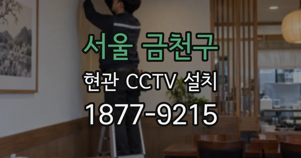 서울 금천구 현관 CCTV 설치