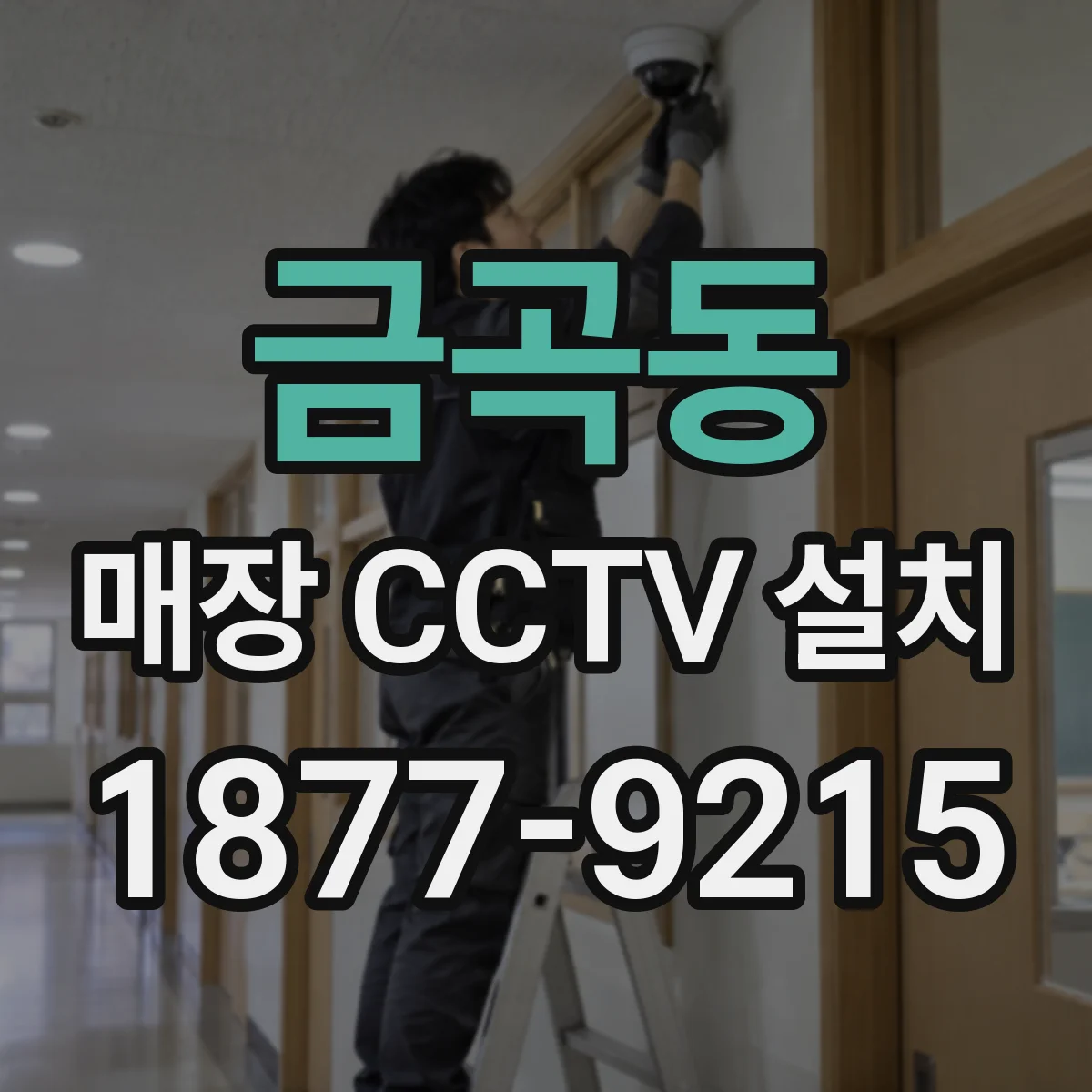 금곡동 매장 CCTV 설치