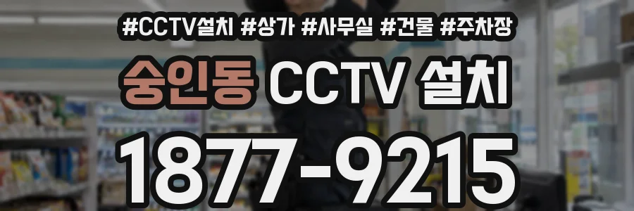 숭인동 CCTV 설치