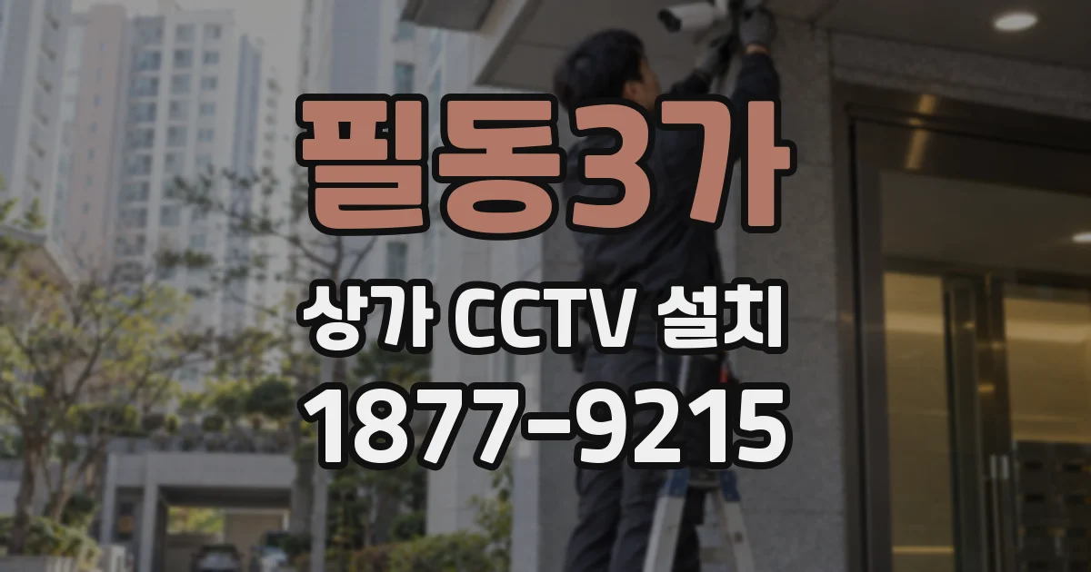 필동3가 상가 CCTV 설치