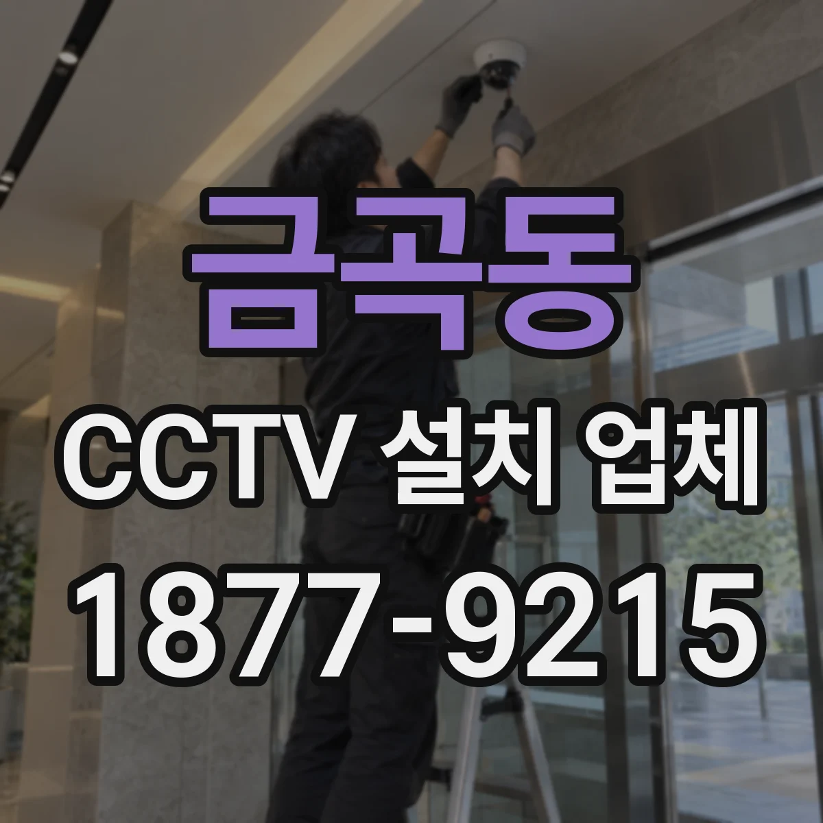 금곡동 CCTV 설치 업체