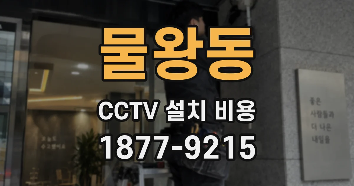 물왕동 CCTV 설치 비용