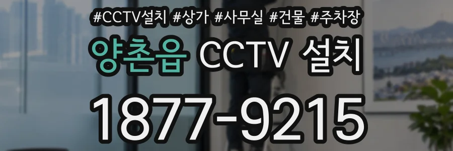 양촌읍 CCTV 설치