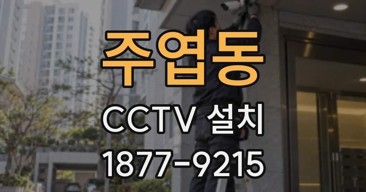 주엽동 CCTV 설치