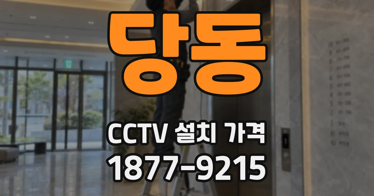 당동 CCTV 설치 가격