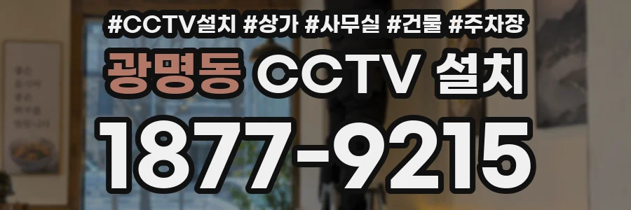 광명동 CCTV 설치