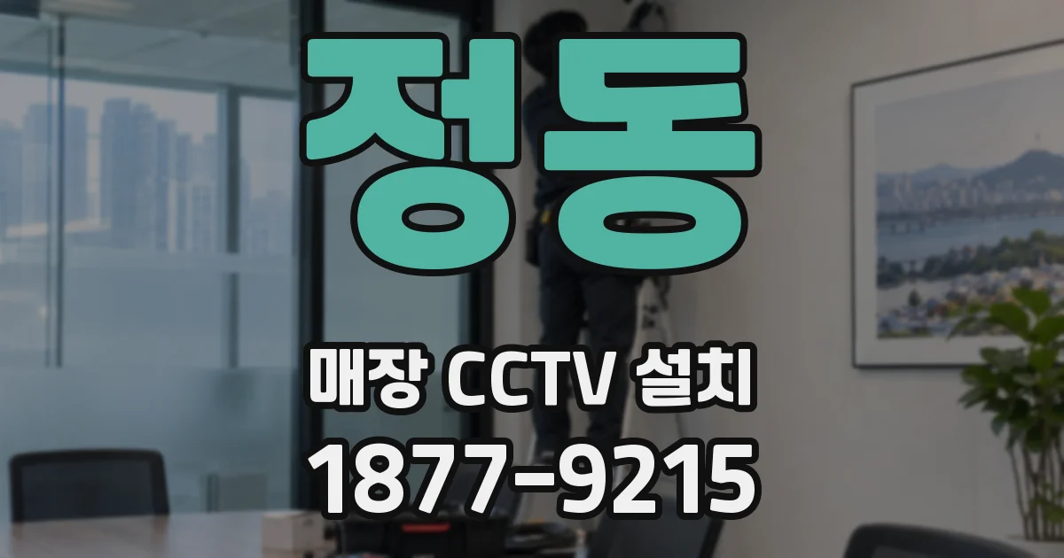 정동 매장 CCTV 설치