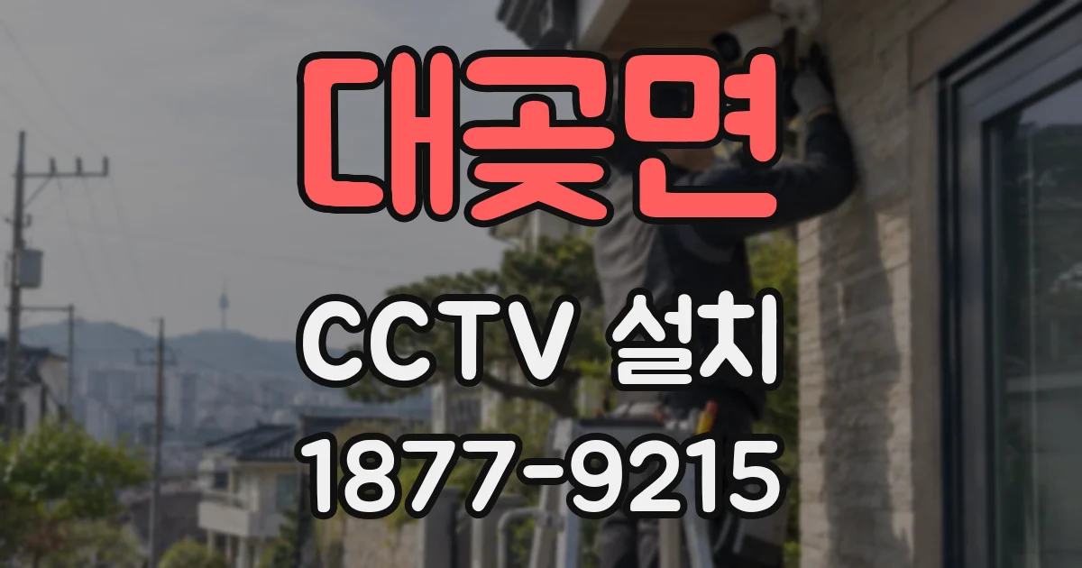 대곶면 CCTV 설치