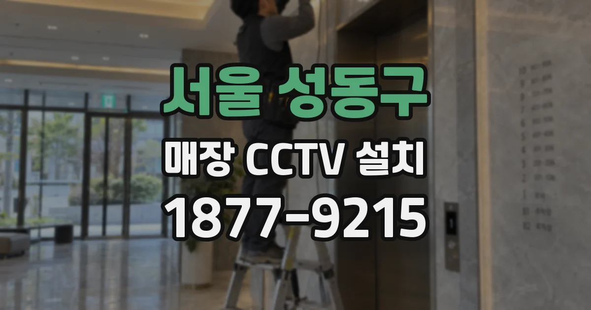 서울 성동구 매장 CCTV 설치