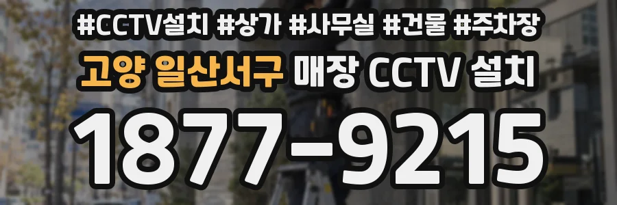 고양 일산서구 매장 CCTV 설치
