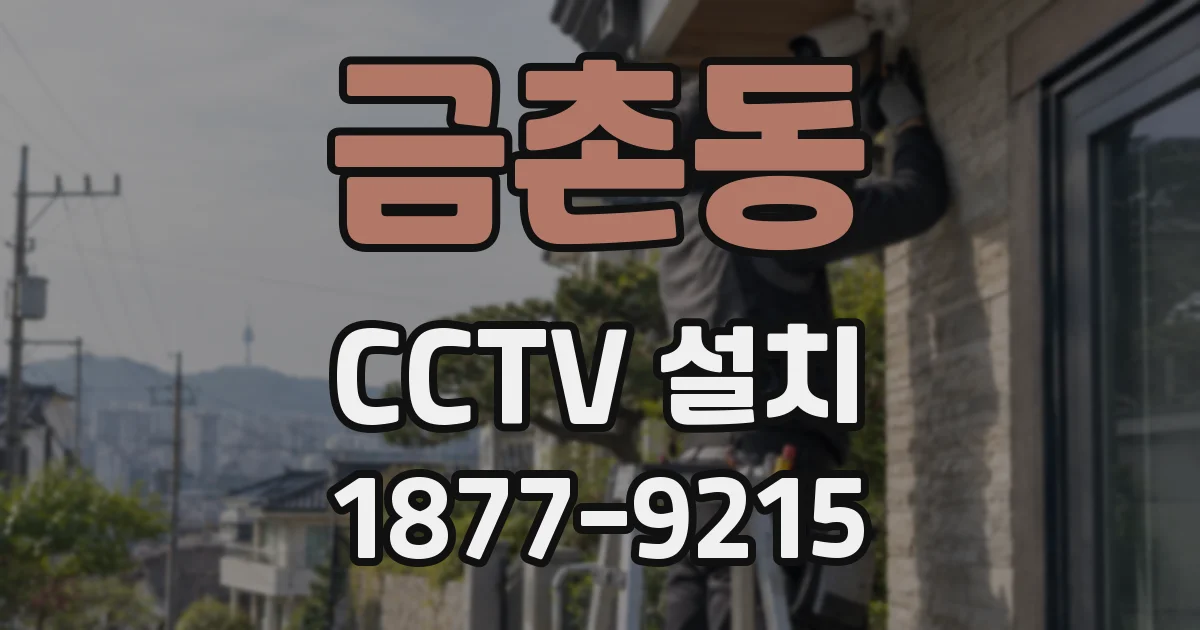 금촌동 CCTV 설치