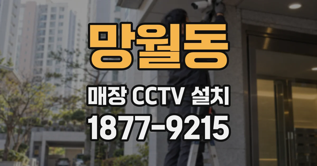 망월동 매장 CCTV 설치