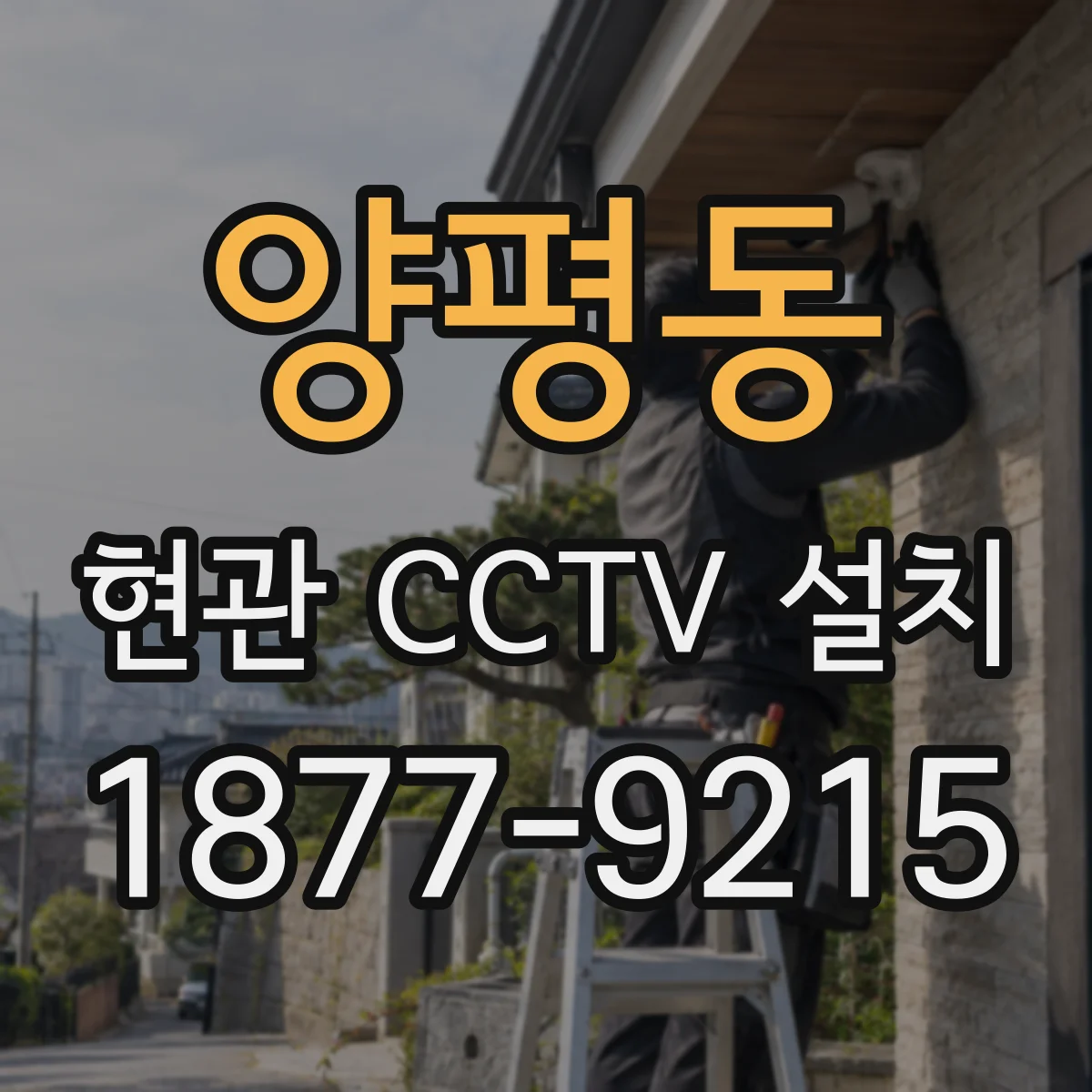 양평동 현관 CCTV 설치