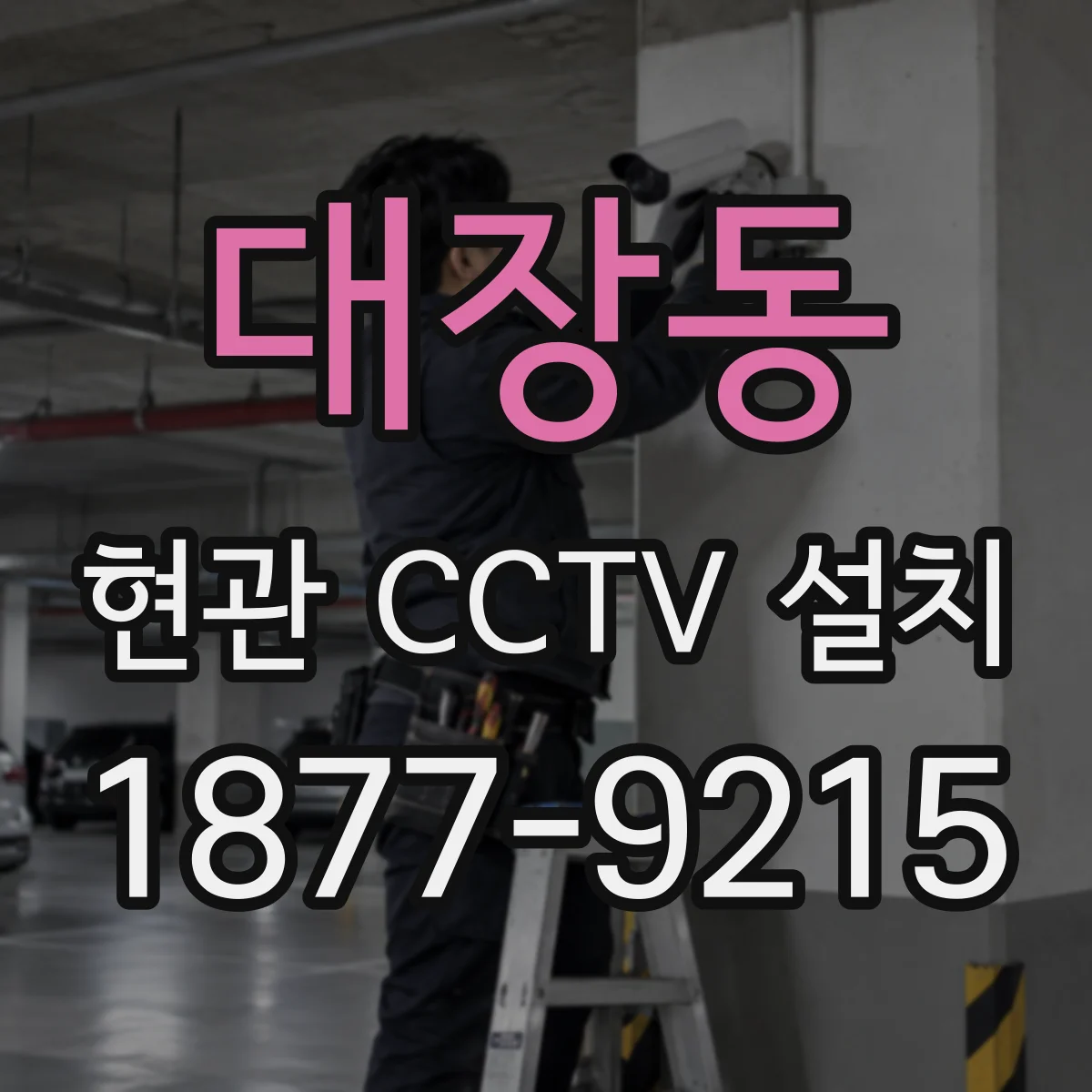 대장동 현관 CCTV 설치