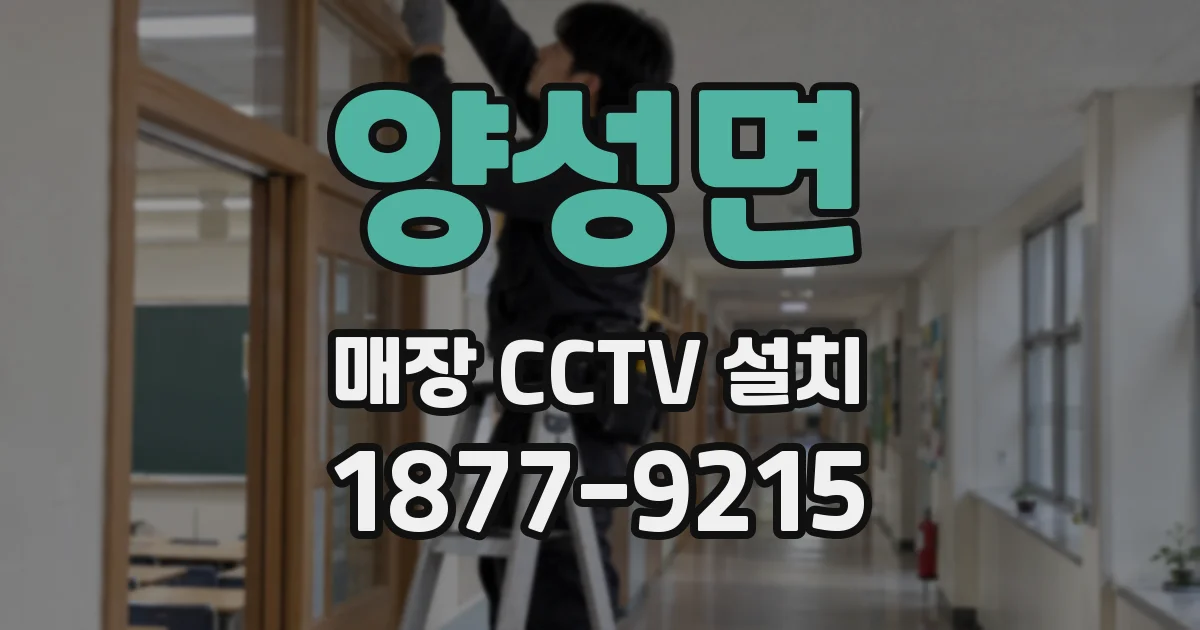 양성면 매장 CCTV 설치