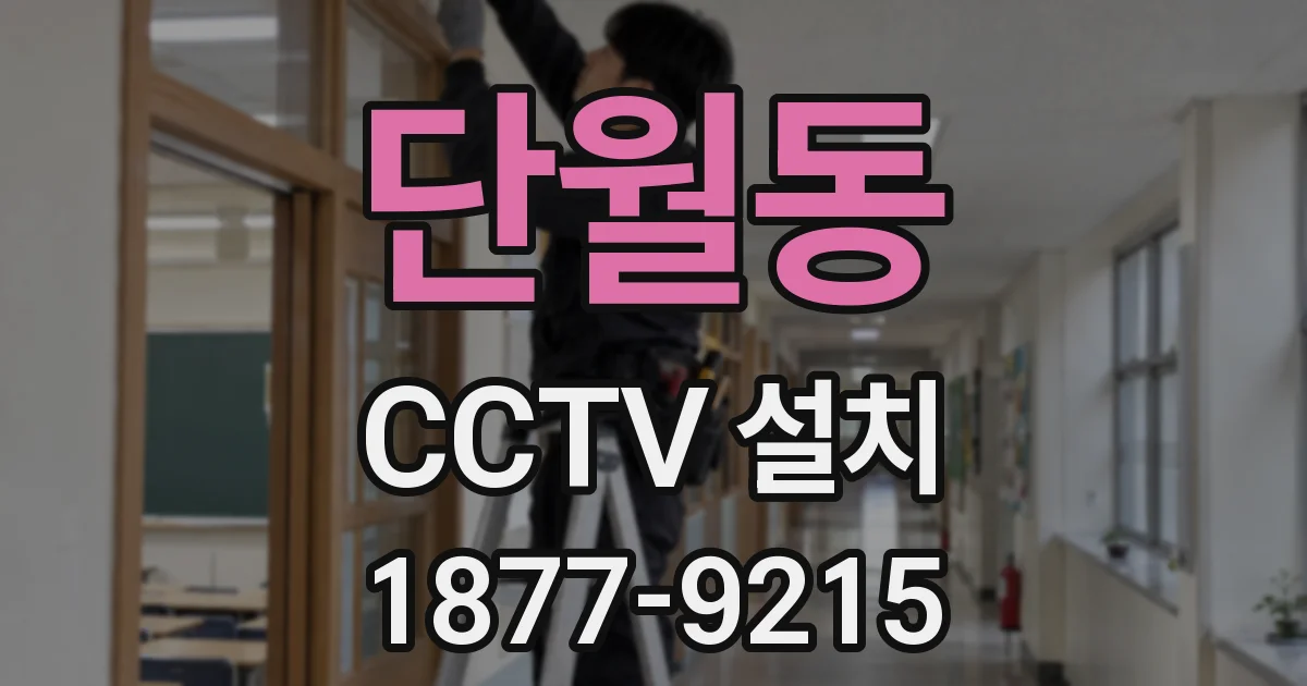 단월동 CCTV 설치