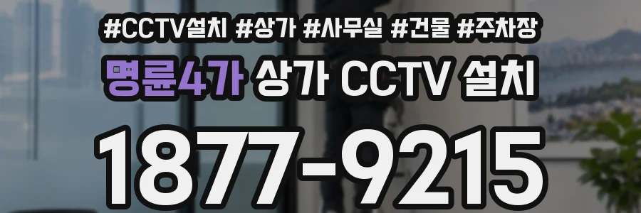 명륜4가 상가 CCTV 설치