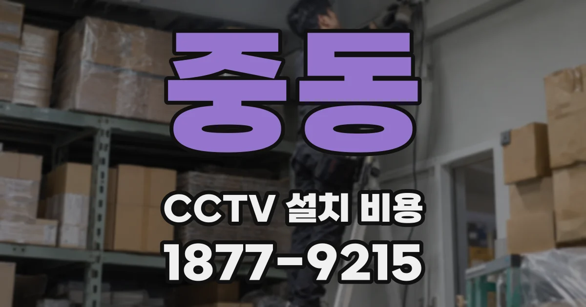 중동 CCTV 설치 비용