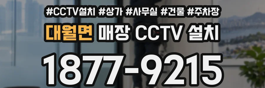 대월면 매장 CCTV 설치